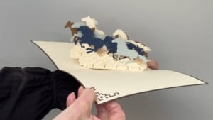 video paarden