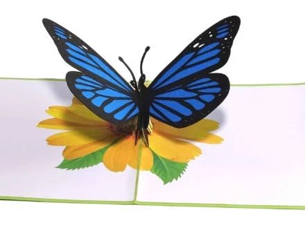 mariposa