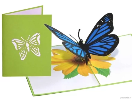 Popcards.nl pop up card butterfly