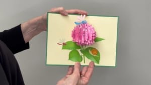 video flor de hortensia