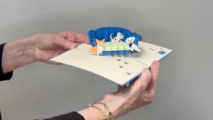 video hond sofa video hond sofa