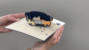 canapé vidéo pour chat