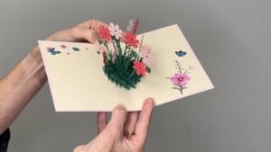 video rose splendore dei fiori