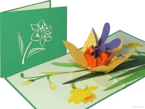 Popcards.nl pop-up card Daffodil con fiori di libellula fiori narcisi libellula biglietto di auguri 3D card