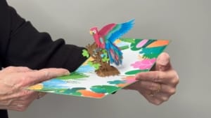 video are parrot