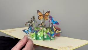 mariposas de vídeo