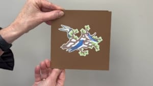 video uccelli ingoiano