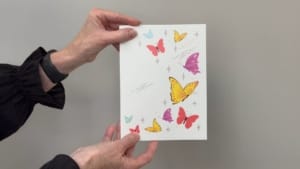 video butterfly