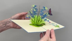 video blue flower hyacinth