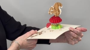 ardilla de vídeo