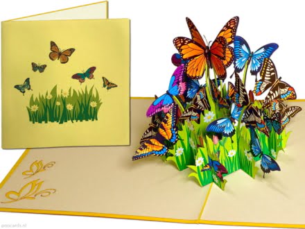 Popcards popup cards - Colorful Butterflies Flowers Freedom Congratulation Birthday greeting card 3d card
