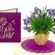 Carte pop-up Iris dans un vase Carte de vœux Carte pop-up Iris dans un vase Image de carte de vœux