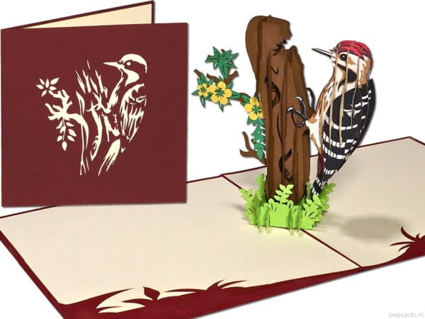 Popcards Popup-Karten – Geburtstagskarte Vogelgefleckter Specht Freiheit Glückwunsch Geburtstag Umzugskarte Grußkarte 3D-Karte