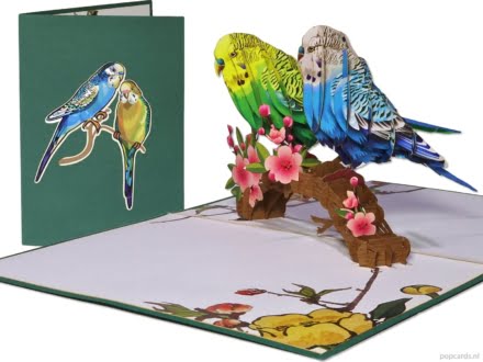 parakeets compilation 2 Beautiful Parakeets together on a flower branch Pop-up Card Popcards popup cards – Birthday card parakeets parakeet parrot ornamental birds lovebird parrot 3D greeting card