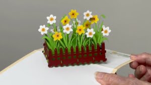 vídeo jardín de narcisos