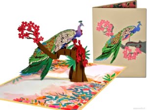 Popcards.nl pop up kaart schitterende blauwe pauw vogel kleuren groene pauw Pavo cristatus fazant wenskaart 3D-kaart
