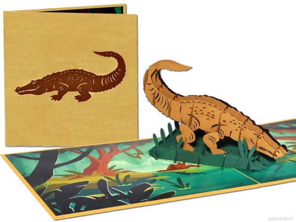 Popcards.nl pop up kaart krokodil alligator kaaiman Everglades wenskaart 3D-kaart Popcards.nl pop up kaart krokodil alligator kaaiman Everglades wenskaart 3D-kaart