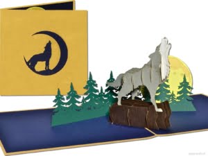 Popcards.nl pop up kaart huilende wolf grijze wolf hondachtigen Canis lupus coyote wenskaart 3D-kaart