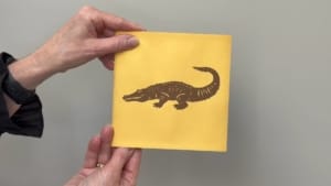 video crocodile