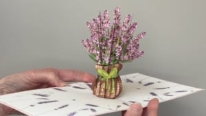 video lavanda