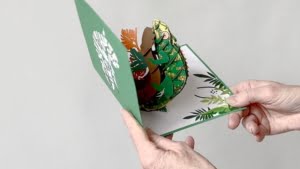 video chameleon