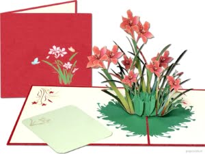 Popcards.nl biglietti pop-up biglietto pop-up papavero papaveri papavero narciso narcisi rose fiori bouquet fiore campo di fiori biglietto di fiori biglietto d'auguri carta 3D