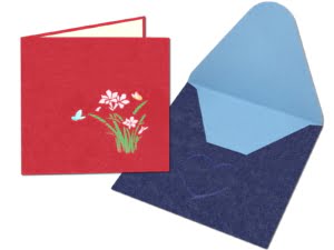 compilazione di buste con narcisi