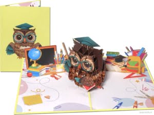 Popcards.nl tarjeta emergente búho sabio aprobó el diploma estudiante de estudio VWO HAVO tarjeta de felicitación graduada de la escuela tarjeta 3D