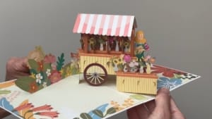 video bloemenstal bloemist