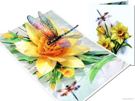 Tarjeta desplegable Popcards – Tarjeta de felicitación 3D con libélula sobre flores de narciso