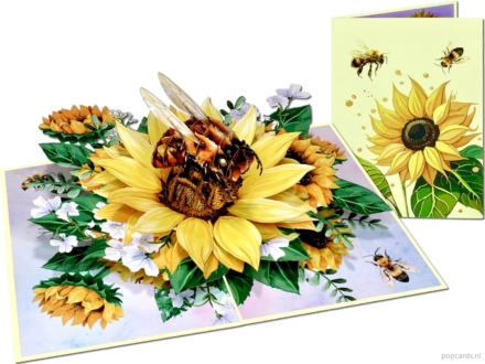 at sunflower compilation Beautiful Yellow Black Bee on Sunflower Pollination Pop-up card Popcards pop-up card – Buzzing bee on sunflower honey 3D greeting card