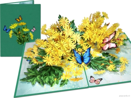 Tarjeta emergente Popcards – Margaritas amarillas, caléndula, caléndulas en flor, tarjeta de felicitación 3D