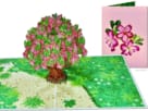 hibiscus boom compilatie 1 Roze Frangipani Plumeria Tempelboom pop-up wenskaart Popcards pop up card – Flowering Hibiscus tree in bloom Pink Frangipani Plumeria Temple tree blossom grass 3D greeting card