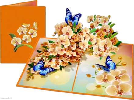 Tarjeta desplegable Popcards – Tarjeta de felicitación 3D con flores de orquídeas y mariposas