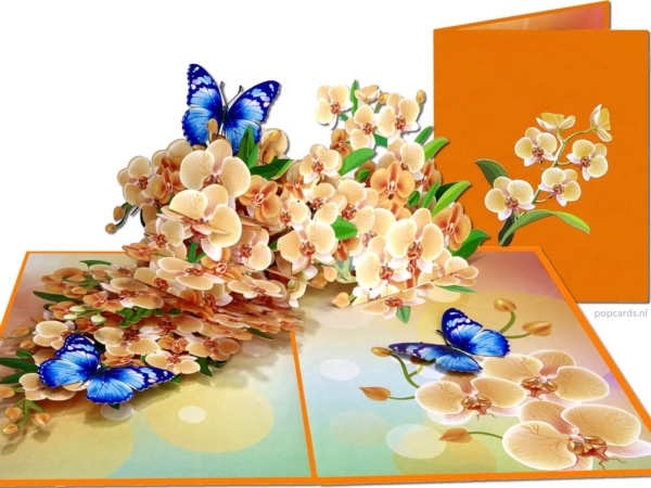 Popcards pop-up kaart – Orchidee bloemen met vlinders 3D wenskaart Popcards pop-up kaart – Orchidee bloemen met vlinders 3D wenskaart