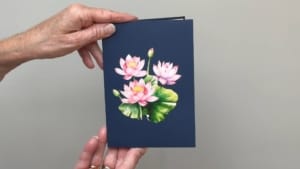 video lotus kleur video lotus kleur