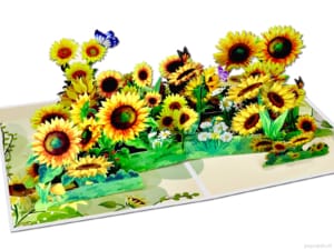 Popcards pop up card – Field of sunflowers yellow flowers France 3D greeting card