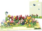rij tulpen compilatie 1 Groot Tulpenveld vol met Kleurrijke Tulpen pop-up kaart Popcards pop-up kaart – Groot veld met bloemen tulpen bloemenveld 3D wenskaart