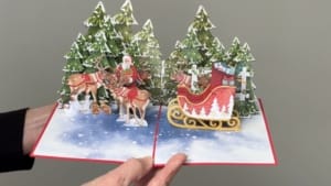 Weihnachtsmann-Video