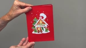 video Christmas house video Christmas house