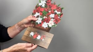 Video Weihnachtsrosen Vase