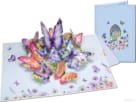 Popcards pop-up kaart – Luxe vlinderkaart prachtige kleurrijke vlinders blauw 3D wenskaart