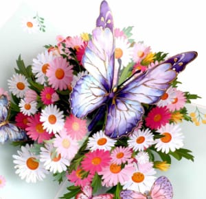 mariposas-lujo-margarita4