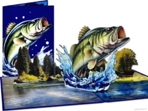 Popcards pop-up card – Pesce, spigola, luccio, pesce saltatore, appassionati di pesca, pescatori, pescatore, pesca, mare 3D card, biglietto di auguri Popcards pop-up card – Pesce, spigola, luccio, pesce saltatore, appassionati di pesca, pescatori, pescatore, pesca, mare 3D card, biglietto di auguri