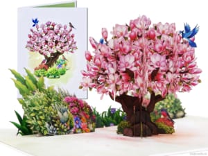 Popcards Pop-Up-Karte – Magnolie, Kirschblütenbaum, Blüte, rosa Sakura, 3D-Karte, Grußkarte