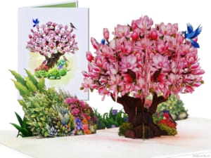 Popcards pop-up kaart – Magnolia kersenbloesem boom bloesem roze sakura 3D kaart wenskaart