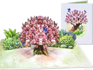 Popcards pop-up kaart – Magnolia kersenbloesem boom bloesem roze sakura 3D kaart wenskaart