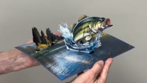 video pesce persico video pesce persico