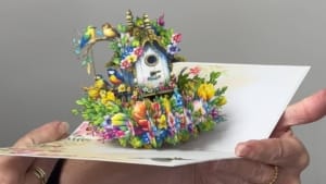 nichoir vidéo nichoir vidéo