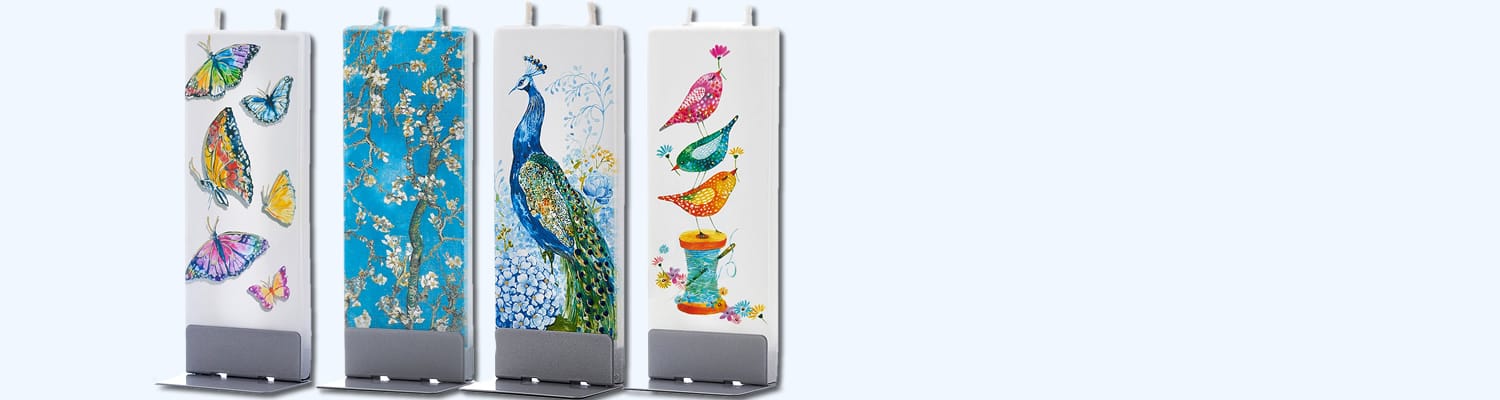 banner boven slide2026 1